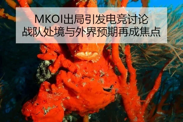 MKOI出局引发电竞讨论 战队处境与外界预期再成焦点